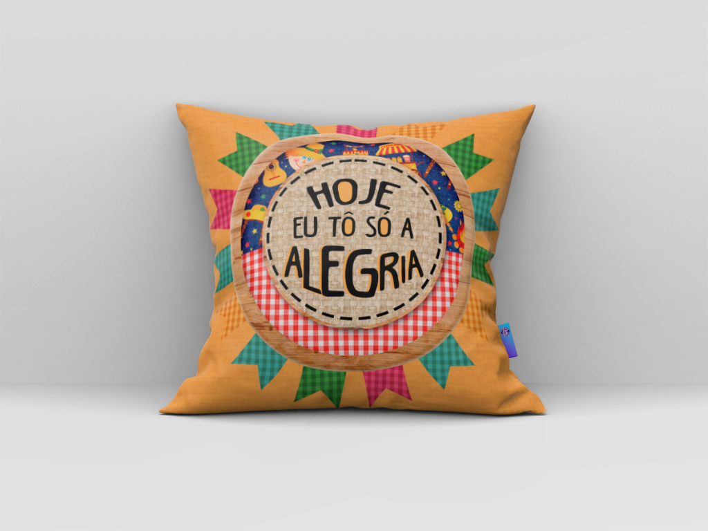 ARTE ALMOFADA - HOJE TÔ SÓ A ALEGRIA-334
