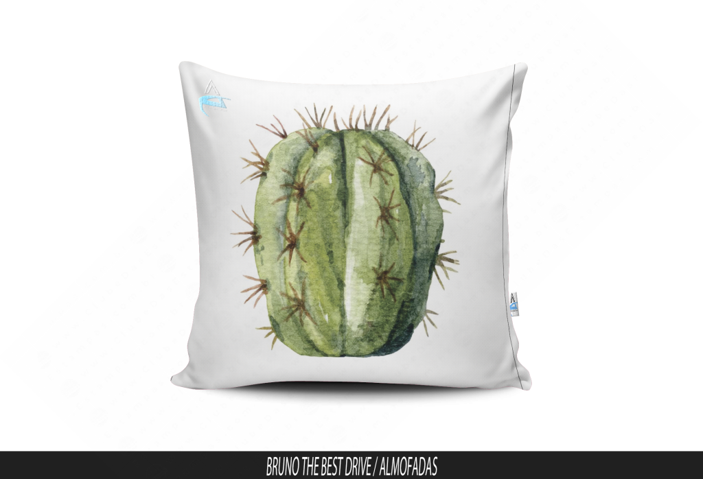 ARTE PARA ALMOFADA - CACTOS-3857